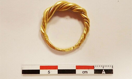This gold ring once belonged to a powerful Viking Chief. It was found in a pile of cheap jewellery auctioned off online