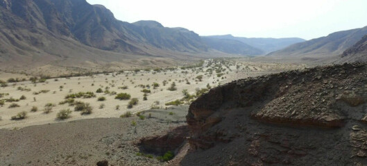 Norwegian fjords gave researchers the idea of how a desert landscape in Namibia came to be