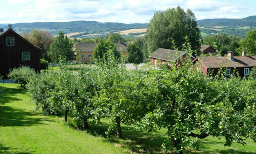 Norway has more than 400 apple varieties, but they can’t be bought in stores