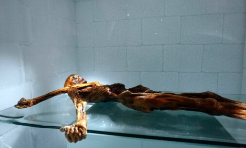 Ötzi-museum does not believe there are so many more ice mummies out there