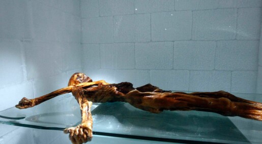 Ötzi-museum does not believe there are so many more ice mummies out there