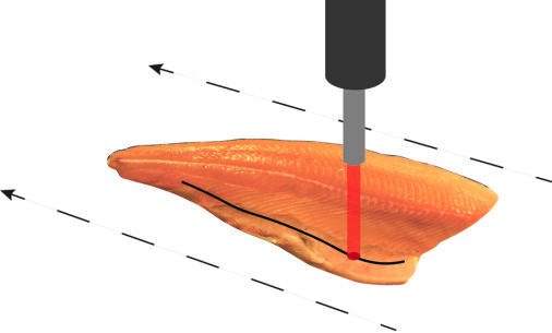 Fatty acid composition in the salmon fillet can be measured in seconds