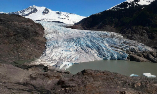 Half of the world's glaciers may be gone by 2100