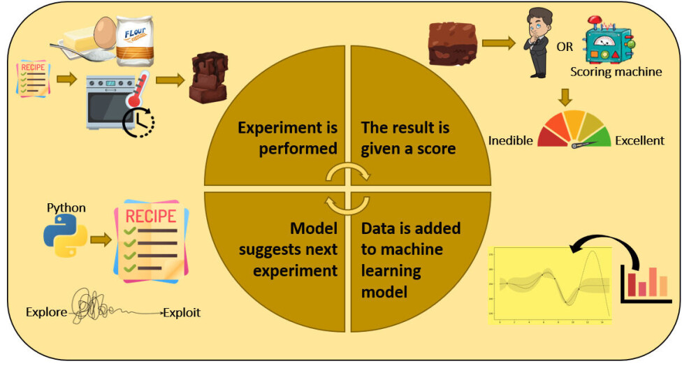 Figure 1: Closed-loop optimisation. First, the experiment is performed shown here by brownie, but any experiment that a robot can perform is eligible for closed-loop optimisation. Let's suppose we have a brownie machine. This machine makes the brownie following the recipe. Next, the result is scored, in this case, by tasting. The recipe and its score are then added to the model, and a new prediction is made. The model suggests a new recipe based on »exploration and exploitation« which will be explained below.