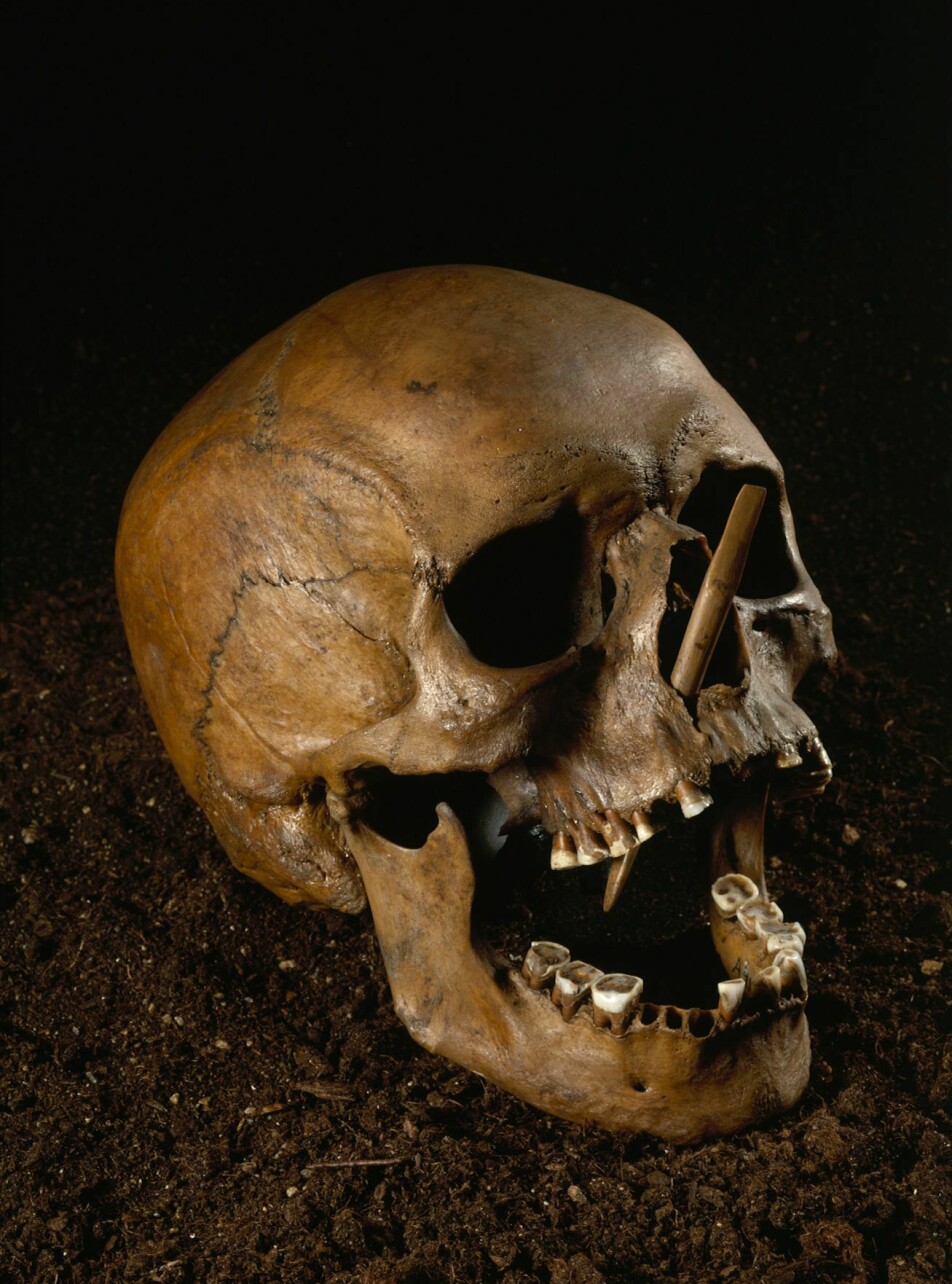 The Porsmose man is from the Stone Age, and was found in 1946. The arrow, which has been preserved in the skull, passes through the bridge of the nose and the jaw, and testifies to a violent death.
