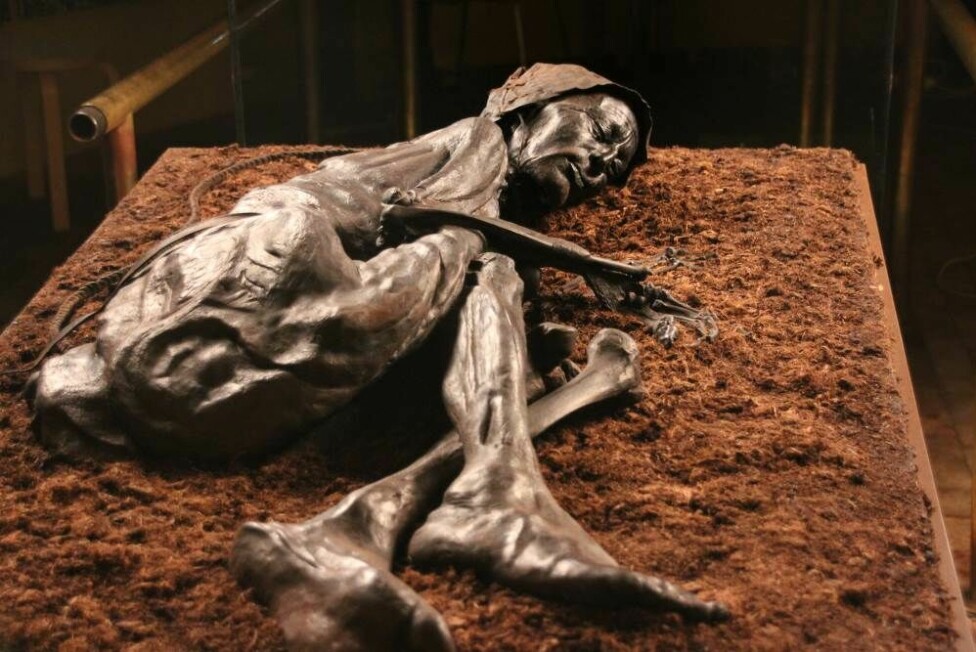 Unveiling the Enigmatic Journey of Lindow Man’s Centuries-Old Mummified Remains