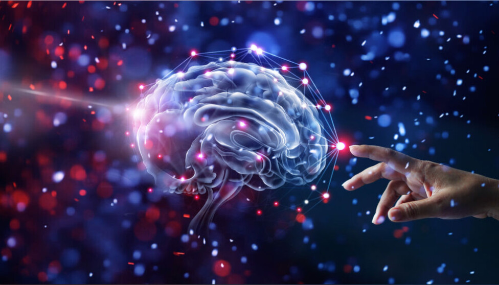 When we experience pain multiple areas of the brain are activated, and just like in a symphonic orchestra the different areas of the brain follow the same rhythm.