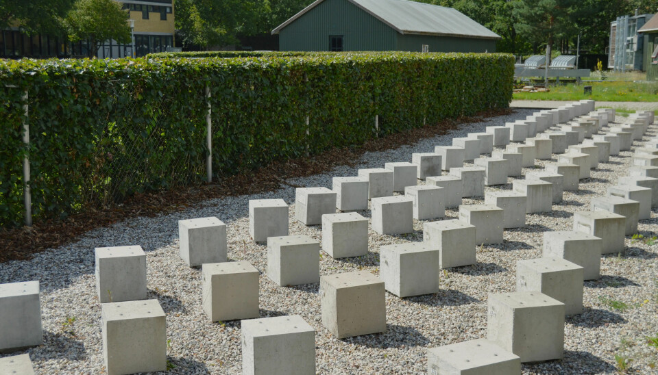 Concrete exposure site at the Technical University of Denmark. Concrete cubes (30 cm large) are placed outdoors and monitored to study their durability and benchmark accelerated laboratory tests. (Photo: Maxime Ranger)