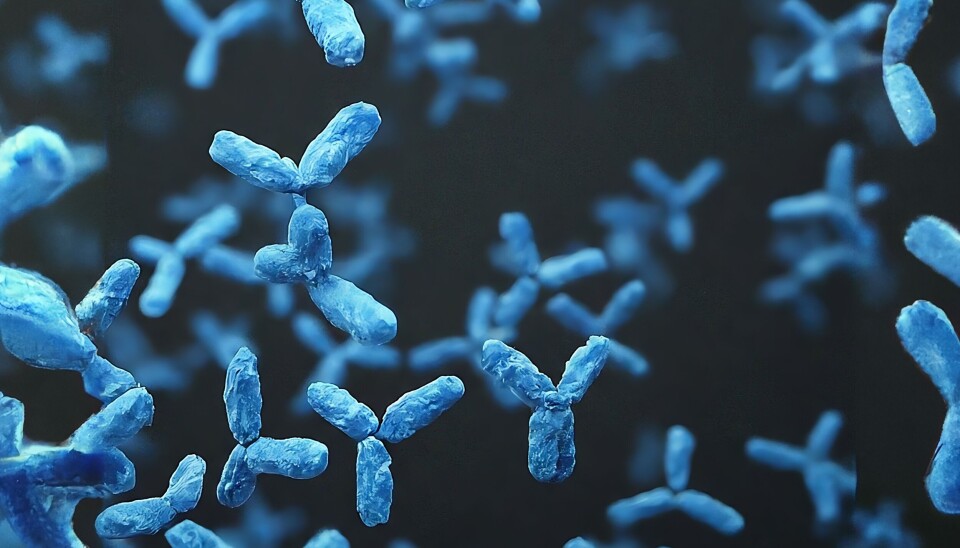 Antibodies, as illustrated here, play important roles in our immune system. They can be produced both in our bodies during immune responses, but also in laboratories for medical use when our bodies cannot cope on their own.