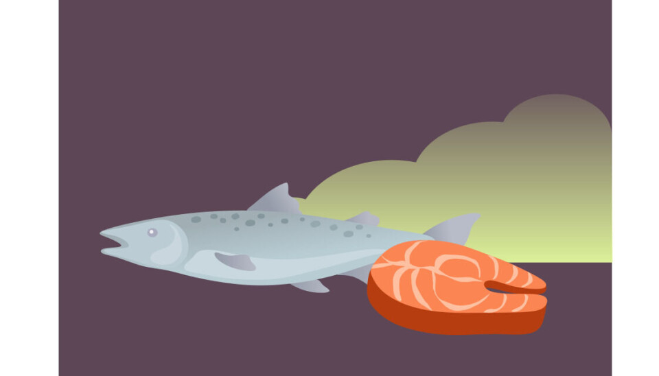 Hydrogen sulfide (H₂S) is responsible for the characteristic rotten egg smell often associated with spoiled high-protein foods, including fish. (Illustration: Suthimon Thumtecho).