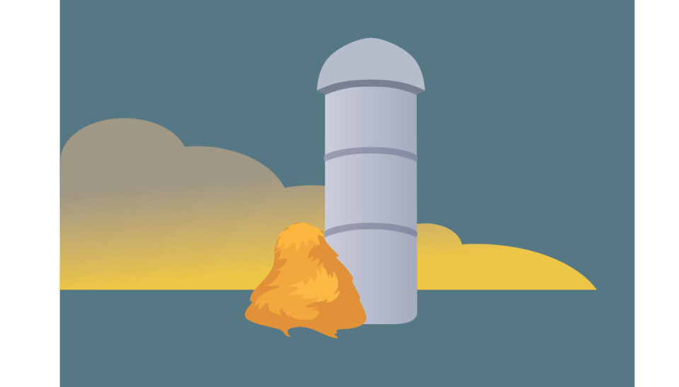 A silo accumulating nitrogen dioxide gas during fermentation of harvests.