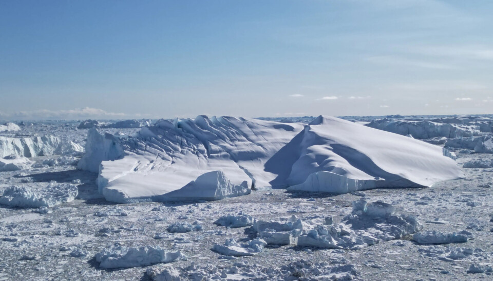 An iceberg in the Jakobshavn Isbræ. There is abundant documentation on Jakobshavn Isbræ’s calving and melting, making it is a very popular touristic destination. AI models are not specifically trained to replicate what occurs in those extreme places but what the models say over the whole ice sheet. Extreme places like this one may be used as verification. (Photo: Clément Cherblanc).