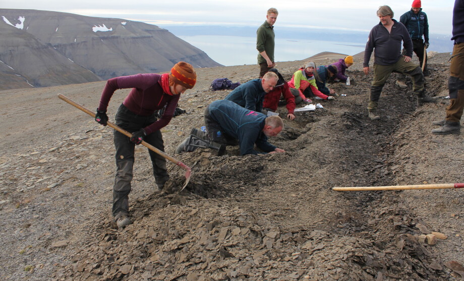 Ichthyosaur foetuses from Svalbard shed light on how these animals evolved