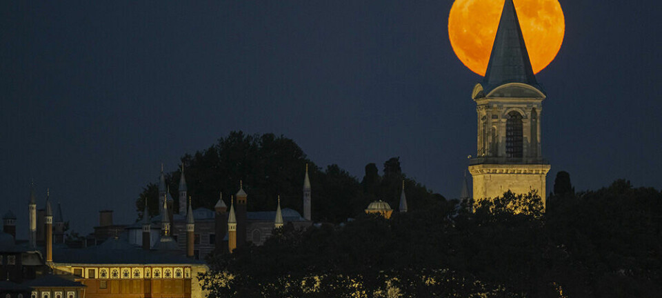 How an overlooked plague epidemic changed the Ottoman Empire