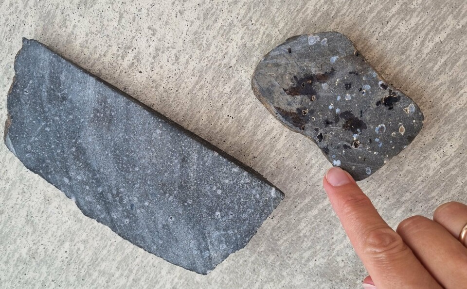 Could volcanic rock beneath the seabed store CO2 forever?