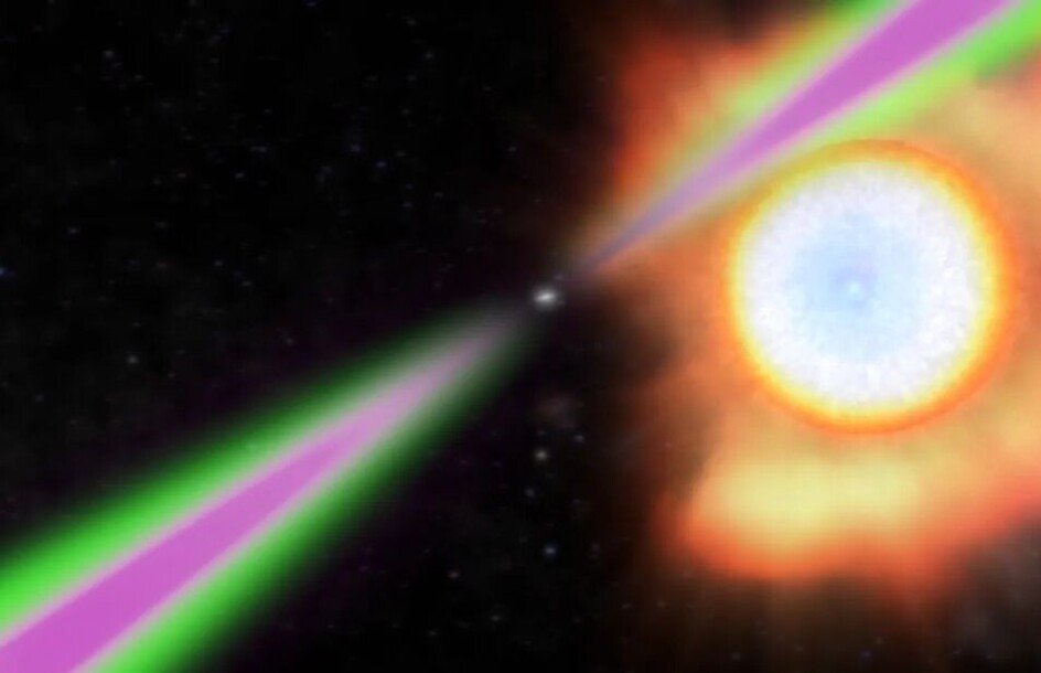 The spiders that eat stars, and the researchers who catch them