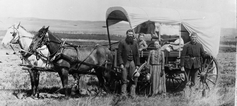 Did the Norwegians in America know that the land they were given had been stolen?