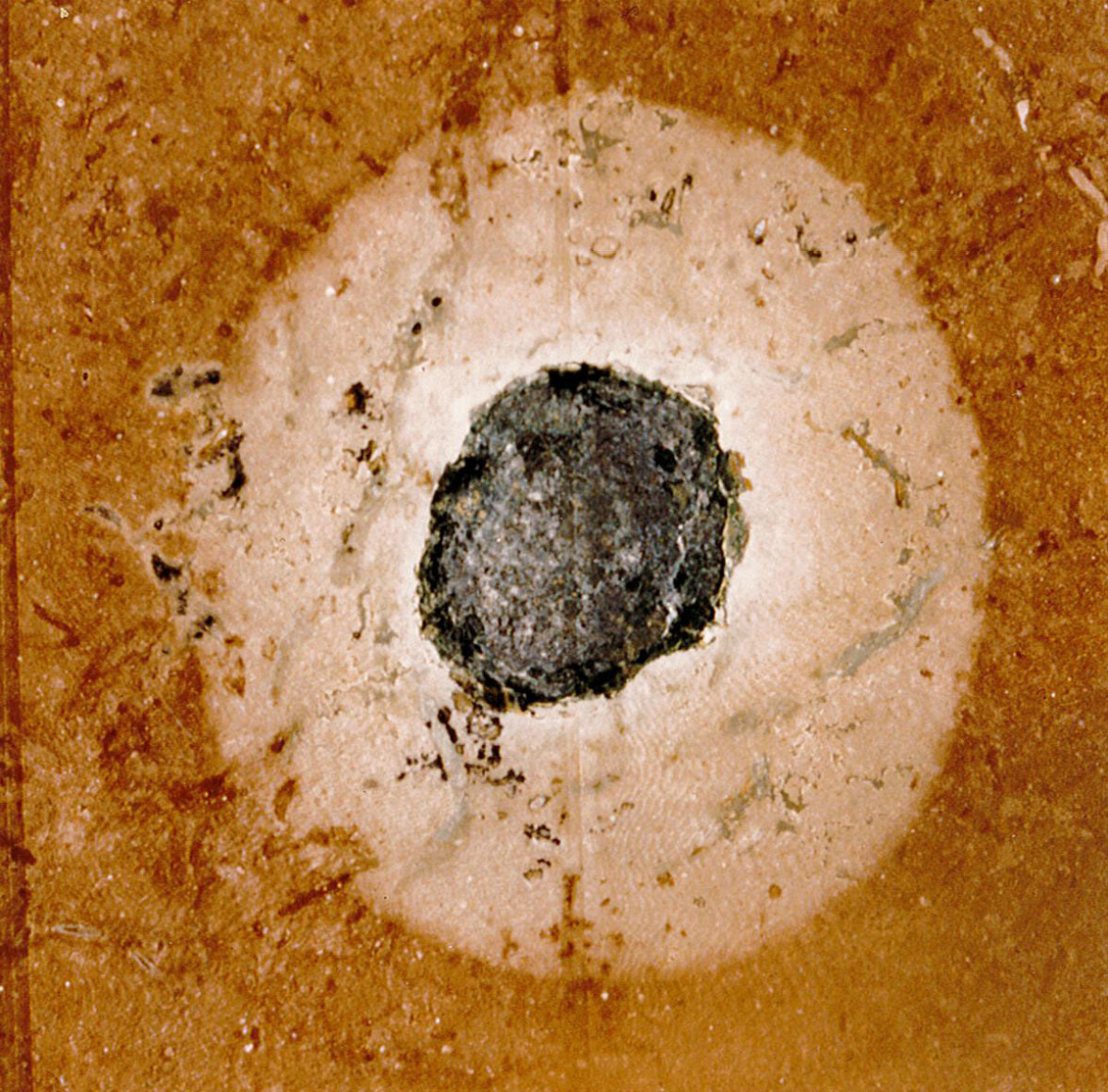 ?imageId=1422797&width=1200
